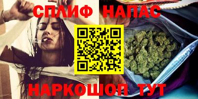 индика Можайск