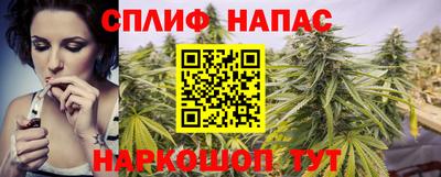 индика Можайск